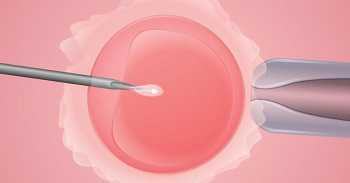 广西的供卵医院有哪家好