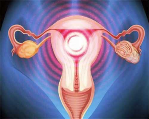 推荐一下!石家庄助孕价格?