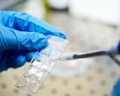 世纪代妈正规_Aaa69吕进峰|供卵试管婴儿流程(中卫供卵试管婴儿个人空间)