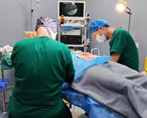 试管助孕公司*孕早期做b超需要空腹吗