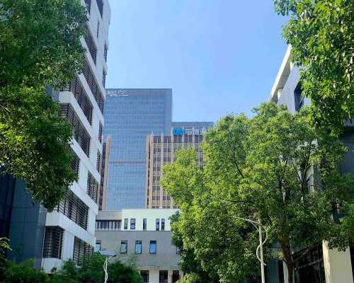 台湾供卵供精,供卵供精价格