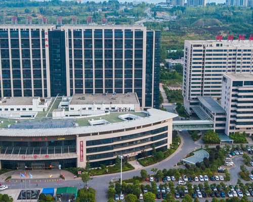 助孕代怀生子*B19病毒对优生的危害