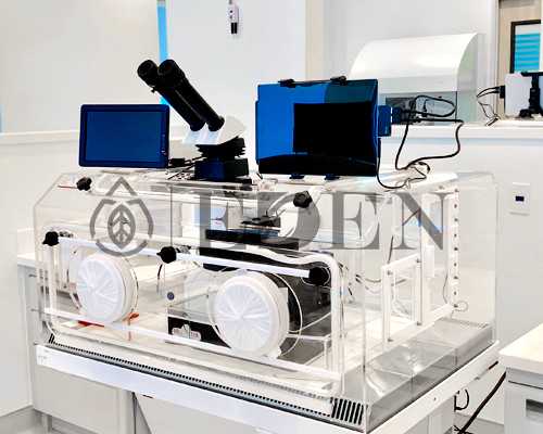 
              本溪地下试管医院供卵生男孩是骗局吗？
            