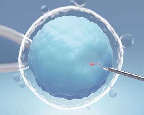 代怀孩子价格*日本做试管怎么样？日本试管婴儿技术比美国怎样？