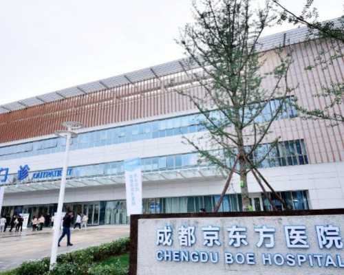 育儿假什么时候实行_育儿嫂多少钱一个月,2026年上海试管婴儿哪家医院成功率最