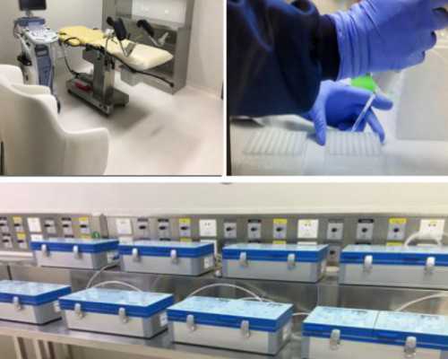 长春三代试管助孕公司